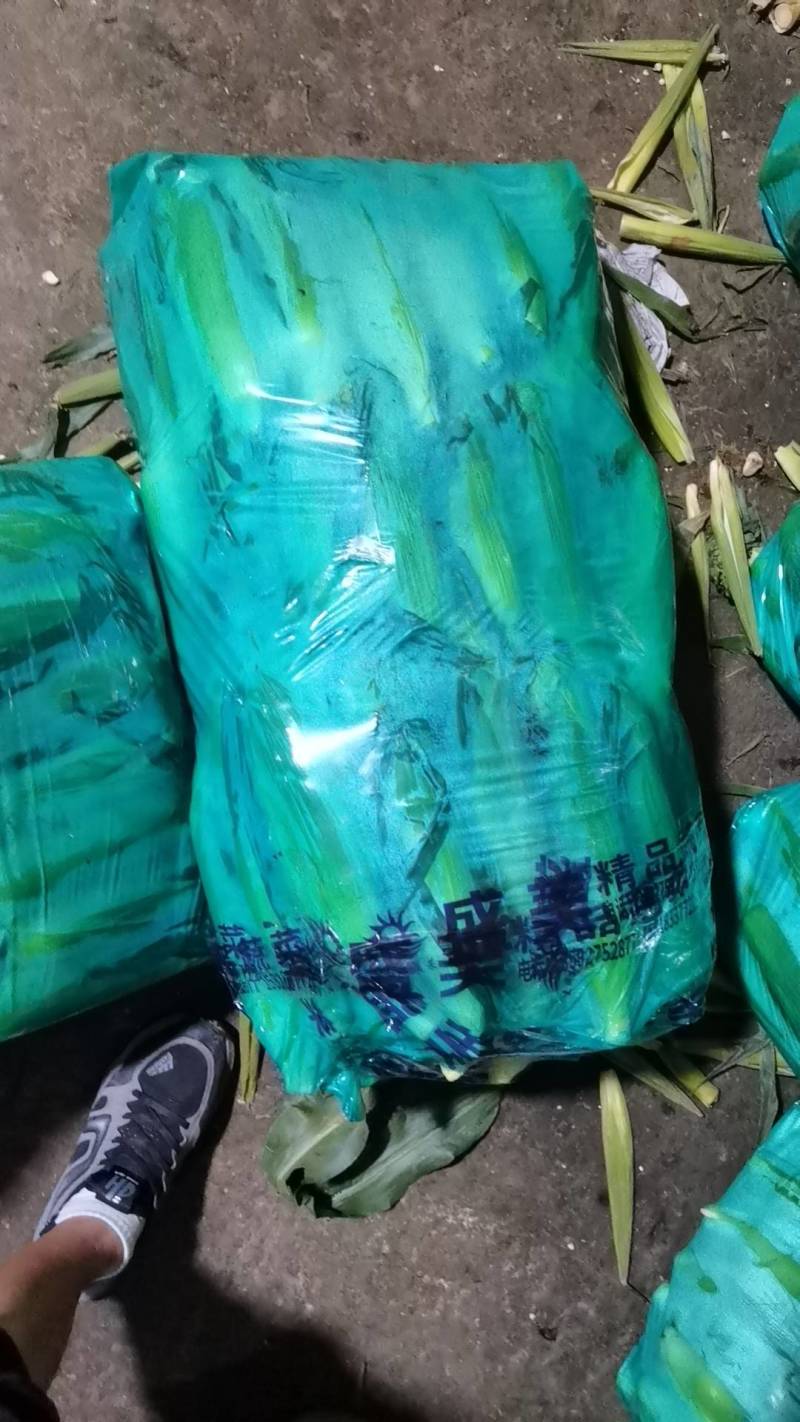 来自甘肃高海拔白加黄口感好的水果玉米
