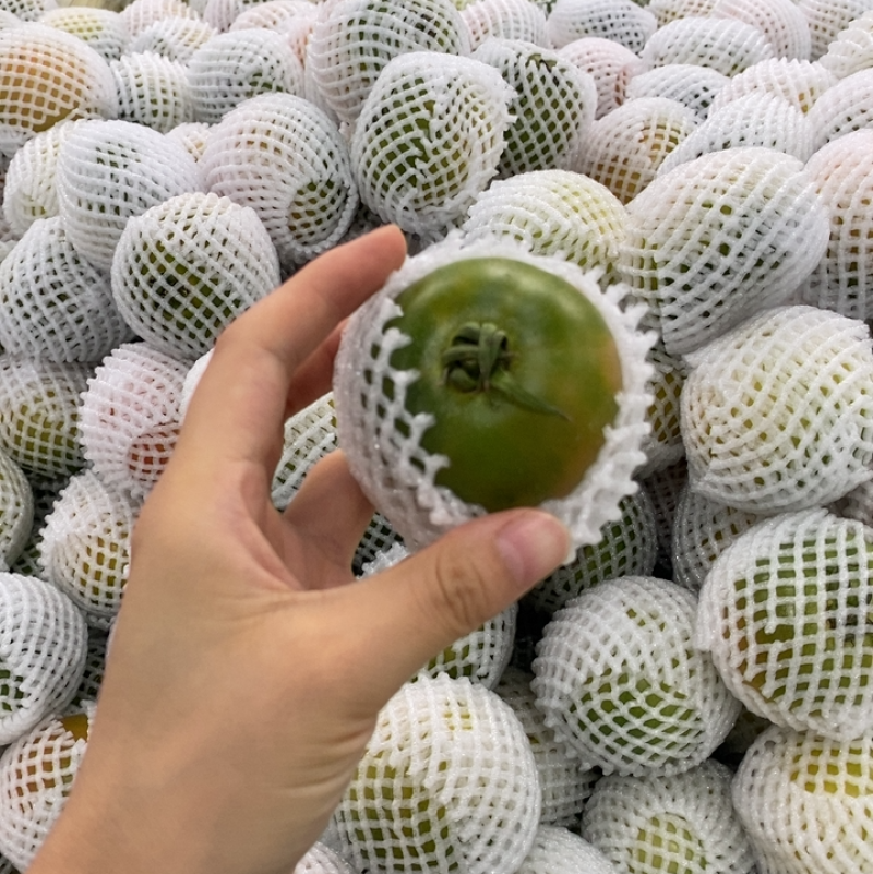 盘锦碱地柿子