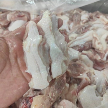 鸡背肉工厂直发全部都是现货