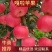 辽宁葫芦岛【嘎啦苹果】绥中精品苹果万亩果园现摘现发