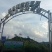 高山野蜂蜜