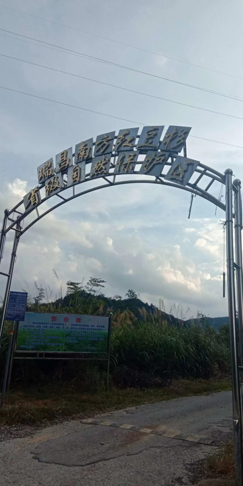 高山野蜂蜜