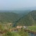 高山野蜂蜜