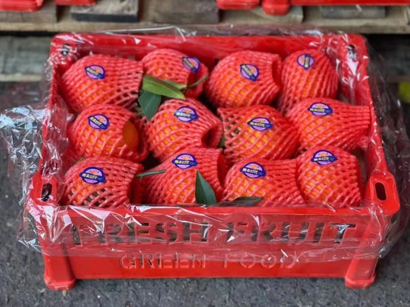 爱媛果冻橙】精品爱媛橙子果冻橙基地直发欢迎咨询