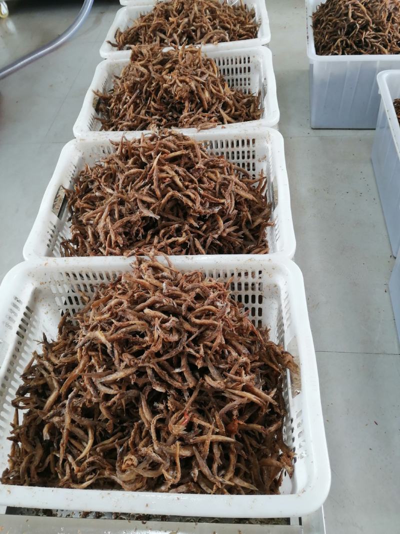 油炸小泥鳅去内脏油炸即食，油炸泥鳅