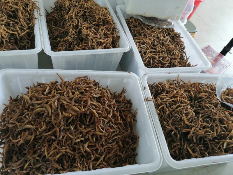 油炸小泥鳅去内脏油炸即食，油炸泥鳅