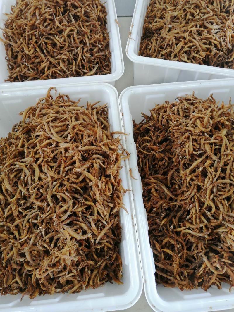 油炸小泥鳅去内脏油炸即食，油炸泥鳅