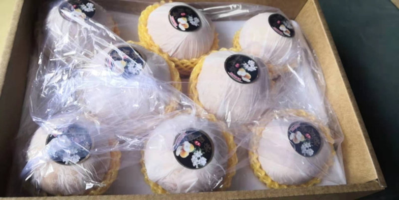 精品秋月梨，个大饱满，香脆多汁，欢迎各位老板前来咨询