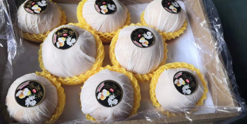精品秋月梨，个大饱满，香脆多汁，欢迎各位老板前来咨询
