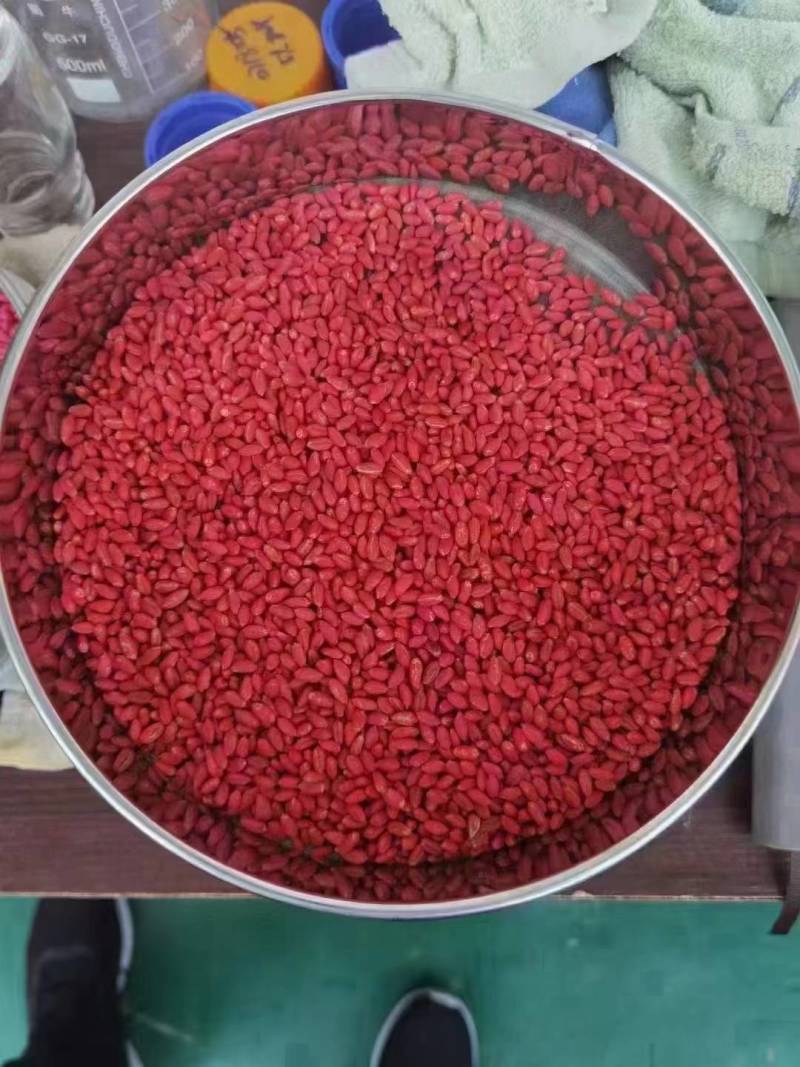 邦安丰拌种10%噻虫咯菌霜灵玉米小麦水稻花生棉花拌种杀菌