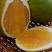 福建特产木瓜蜜丁柳橙产地直供质量保证欢迎来电咨询