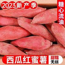 [来电立减]精品西瓜红漳浦县产地直发福建蜜薯品质好