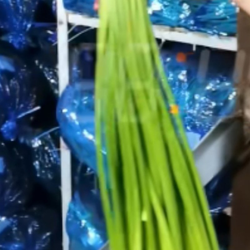 手把蒜薹