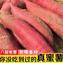 [回头客多]精品西瓜红六鳌蜜薯福建蜜薯漳浦县西瓜红