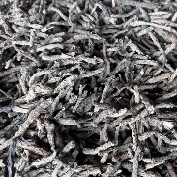 仙茅干货，云南产地野生，超高含量，可发样品