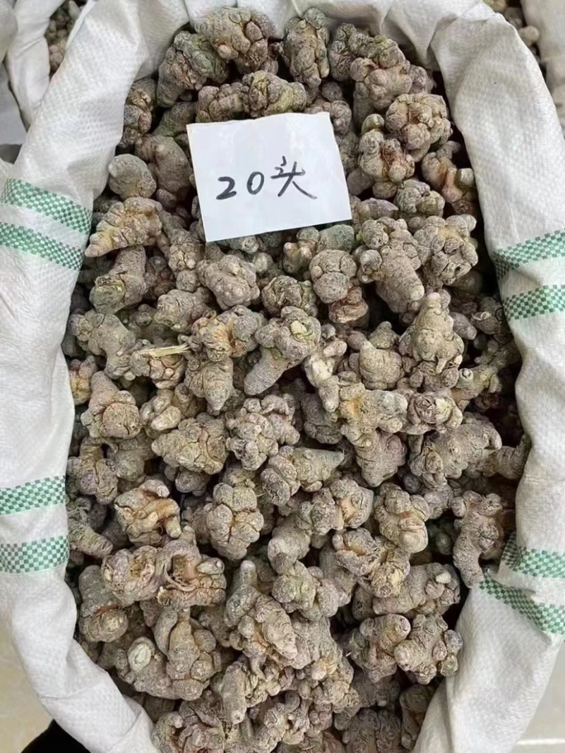 云南文山三七20头30头40头各种规格产地直发量大从优