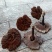 带粉紫灵芝长脚不苦黑灵芝江西灵芝