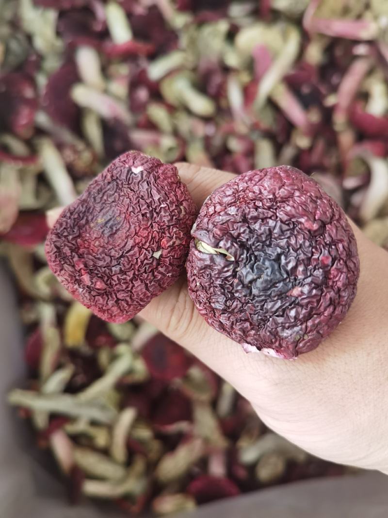 红菇正红菇大标菇2023新货