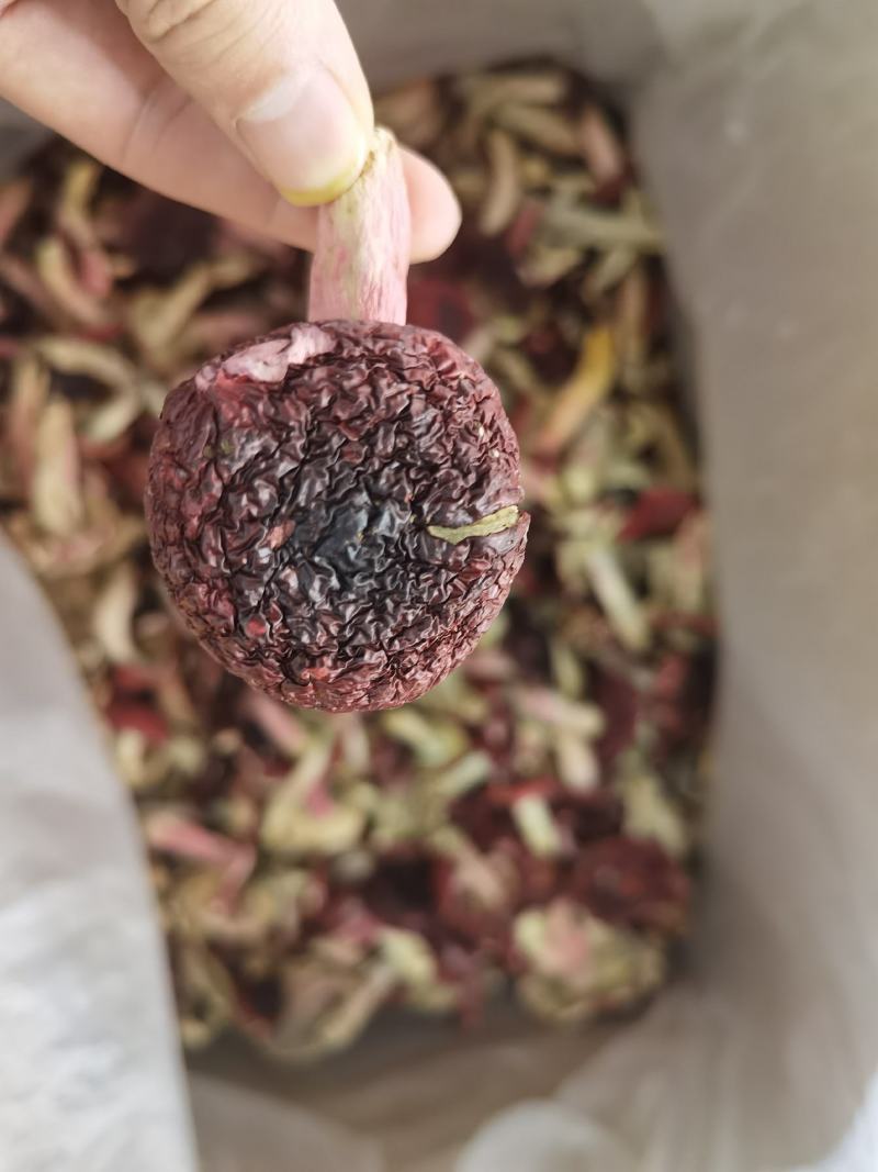 红菇正红菇大标菇2023新货