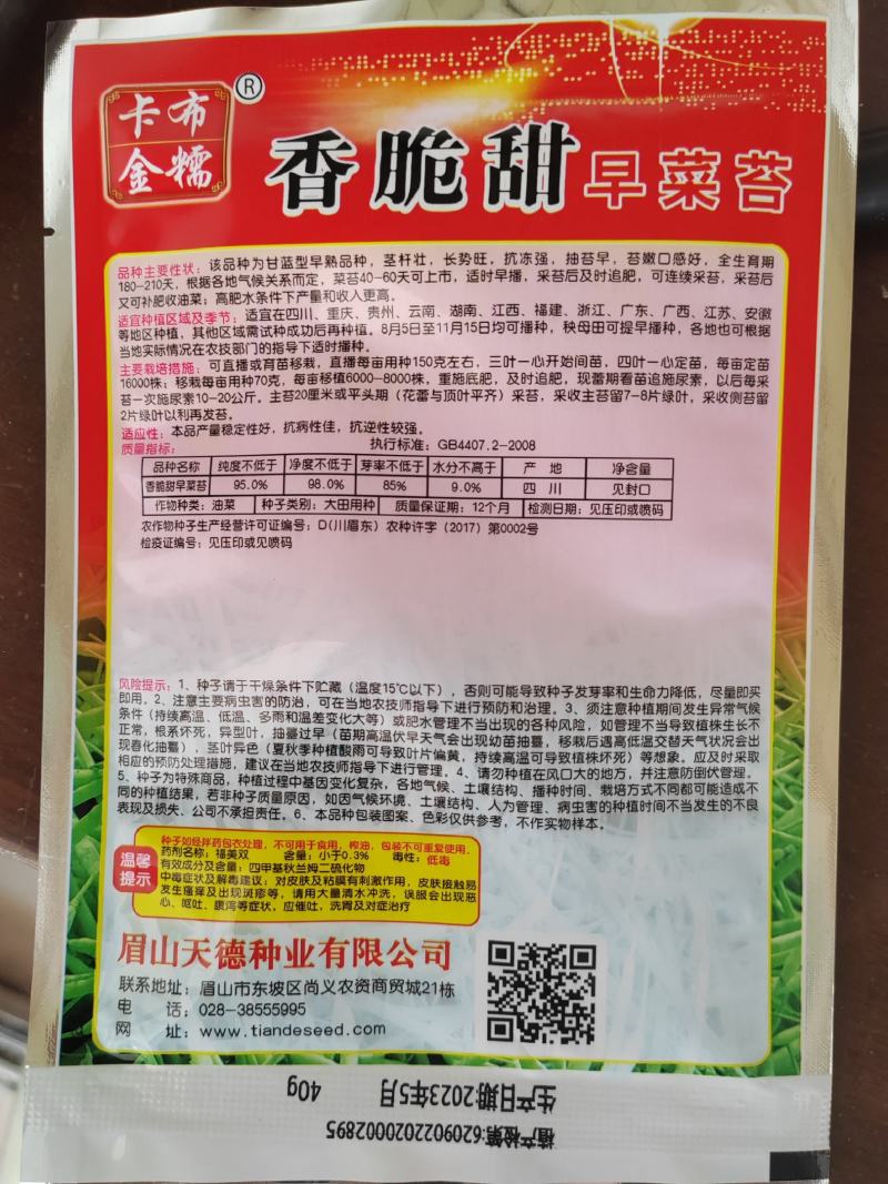 矮杆早油菜种子矮荚早油菜种子菜苔菜籽兼收形