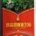油菜种子塔康油336长荚大粒高出油率分枝多抗倒伏