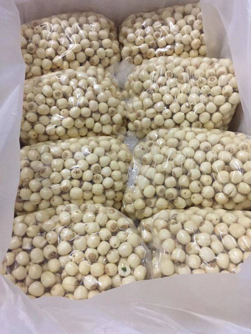 今年新出干莲子心，手工通心干莲心大量批发