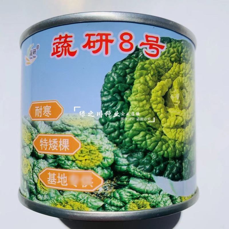 基地专用耐寒黄心菜种子特矮棵淮南黄心乌种子乌菜种籽