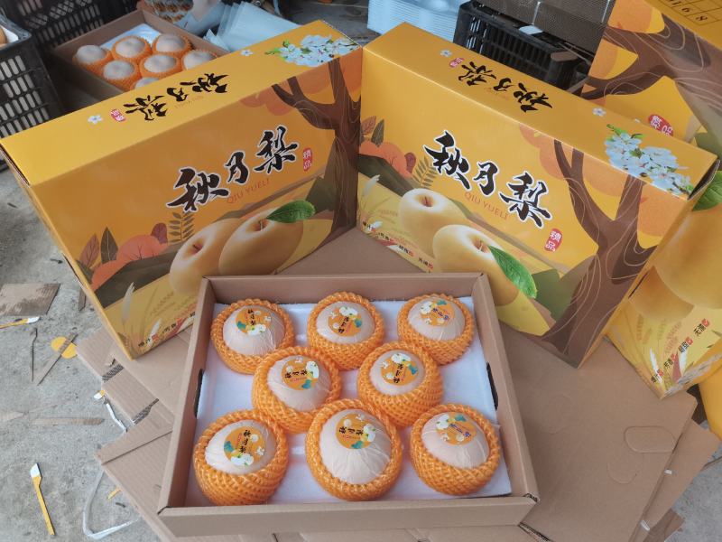 秋月梨纸袋秋月梨冷库梨电商货市场货