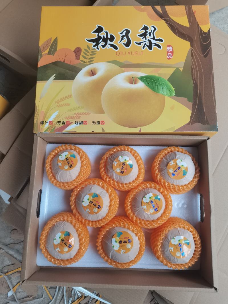 秋月梨纸袋秋月梨冷库梨电商货市场货