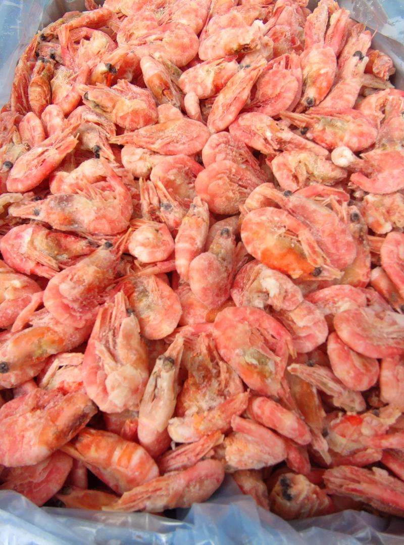 头籽北极甜虾虾残虾，90120正规格，非常实惠，