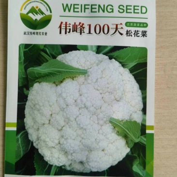 伟峰100天松花菜