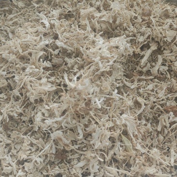 橘络干货橘络中药材欢迎选购！量大从优！