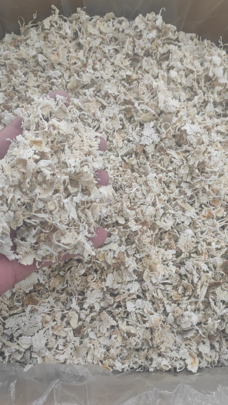 橘络干货橘络中药材欢迎选购！量大从优！