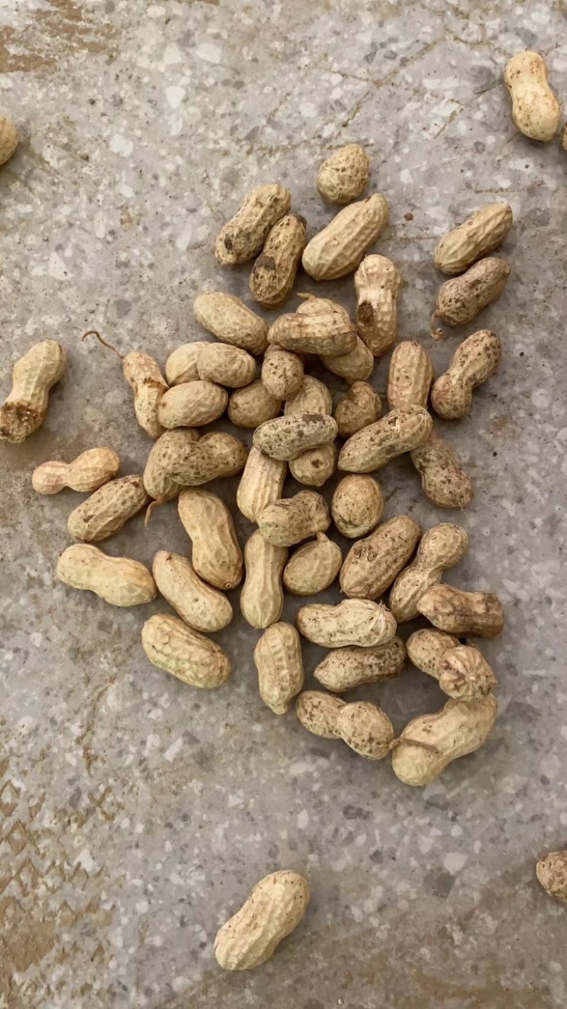 精品推荐罗汉果花生产地一手货源大量供应