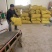 精品推荐罗汉果花生产地一手货源大量供应