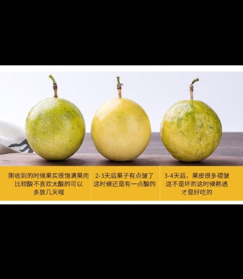 百香果广西特色百香果全国一件代发长期稳定货源