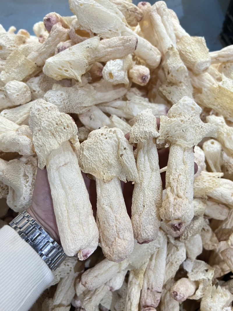 红托竹荪干品，贵州竹荪，织金竹荪，食用菌干货