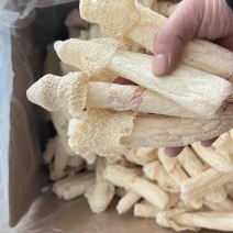 红托竹荪干品，贵州竹荪，织金竹荪，食用菌干货