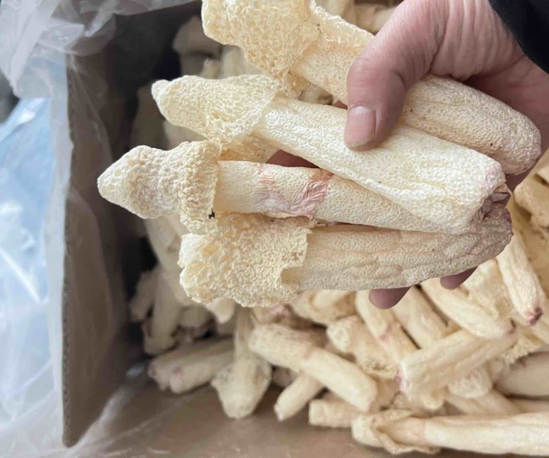 红托竹荪干品，贵州竹荪，织金竹荪，食用菌干货