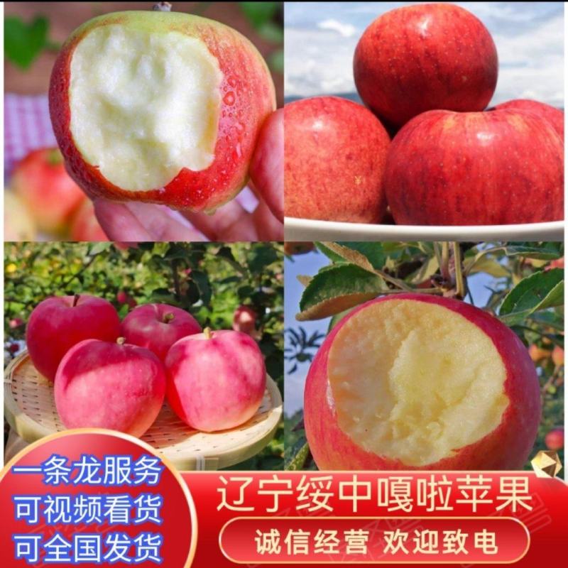 辽宁苹果嘎啦苹果产地直发货源充足大量供应欢迎致电