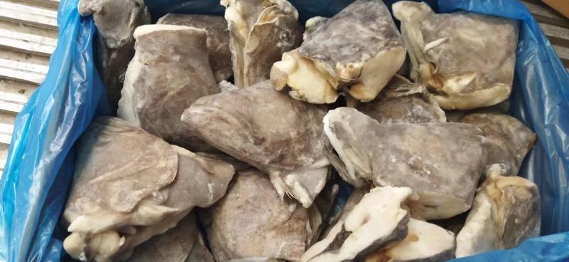 深海鱼头深海碟鱼头剁椒鱼头优质货源比目鱼鱼头酒店食材