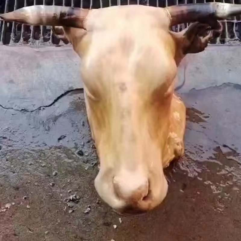 牛头宴