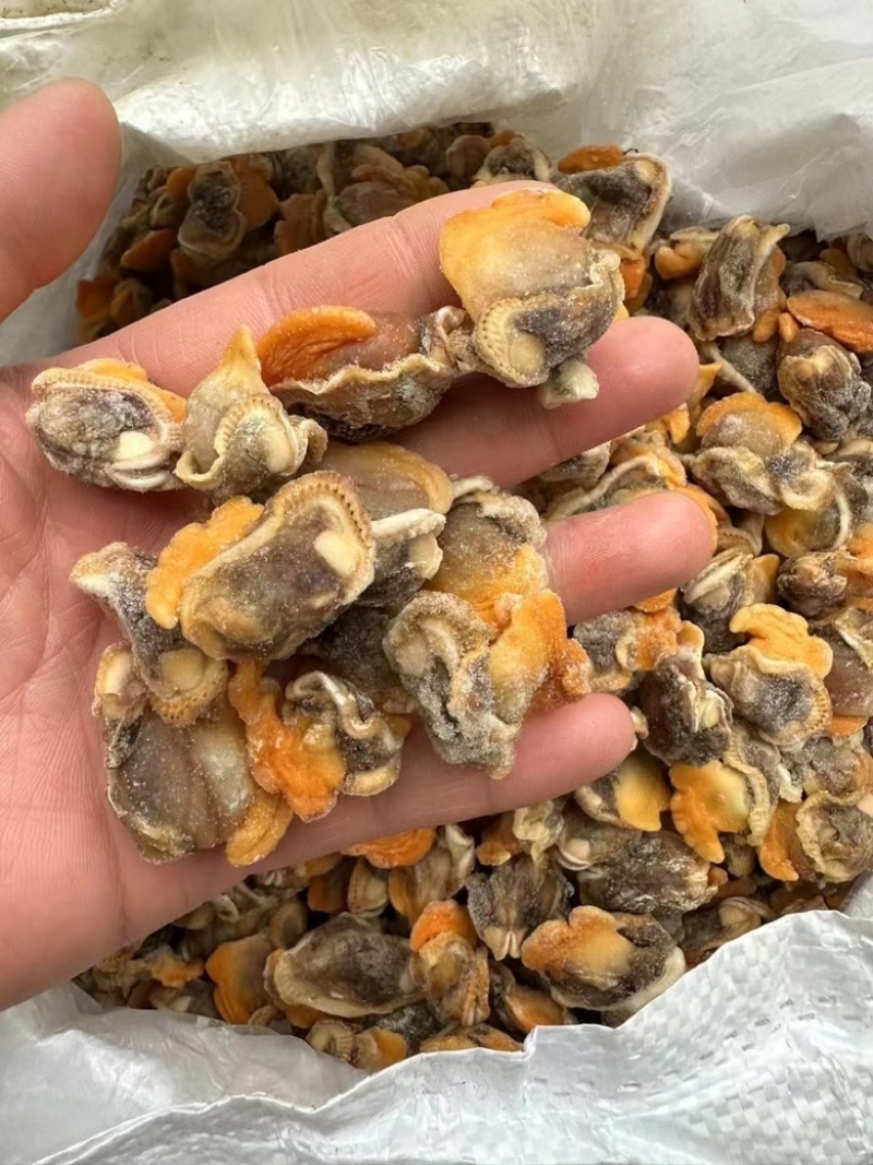 【产地直供】毛蛤蜊肉单冻毛蛤肉血哈肉江苏海鲜水产