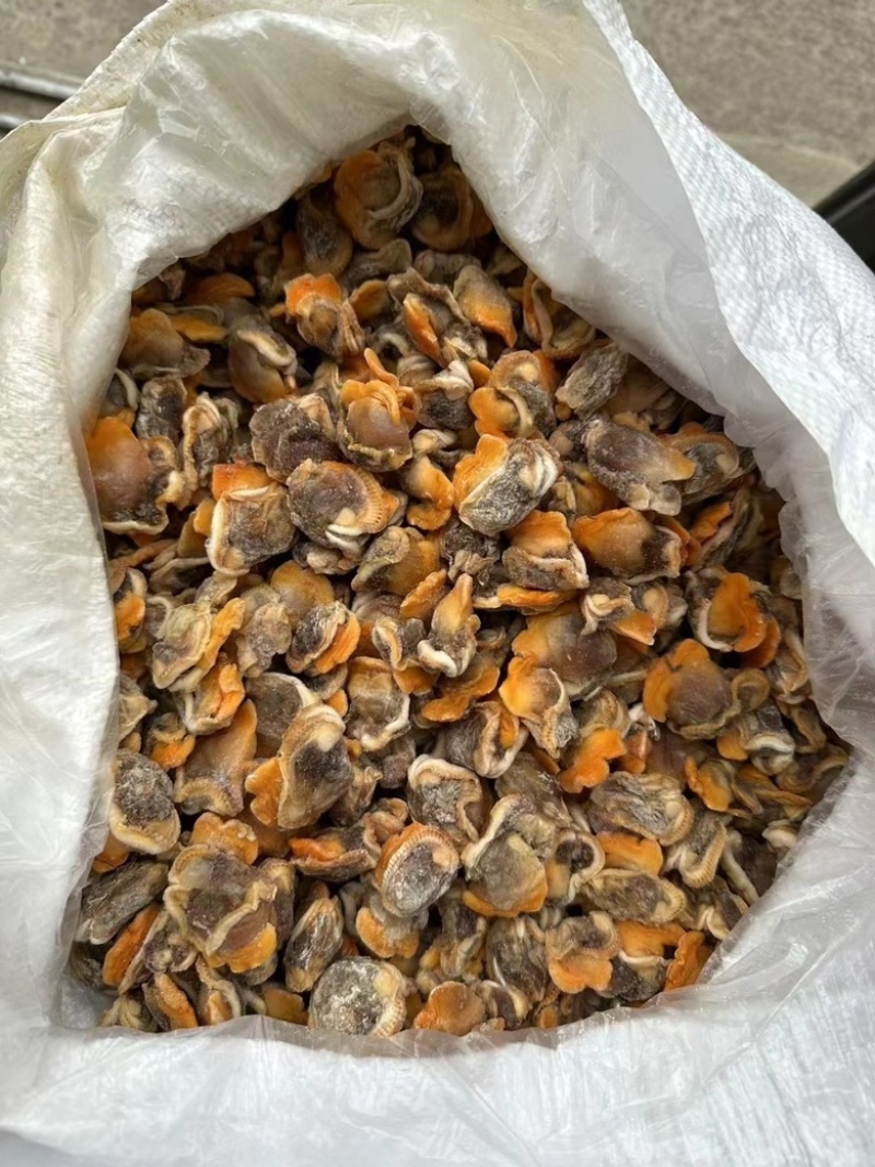 【产地直供】毛蛤蜊肉单冻毛蛤肉血哈肉江苏海鲜水产