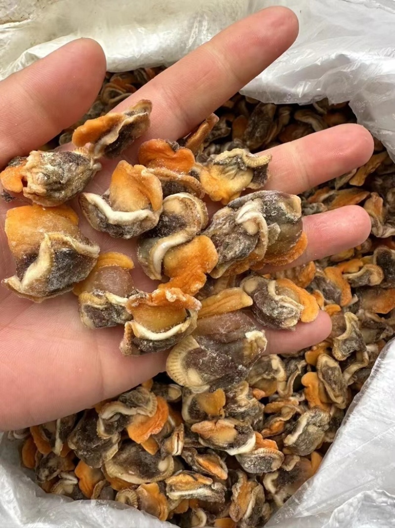【产地直供】毛蛤蜊肉单冻毛蛤肉血哈肉江苏海鲜水产