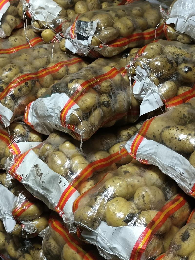 尤金885土豆3两以上通货