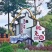 梅州市梅县三红蜜柚、红心蜜柚、白肉蜜柚、代办、加工、