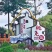 梅州市梅县白肉蜜柚一手货源诚信合作欢迎来电