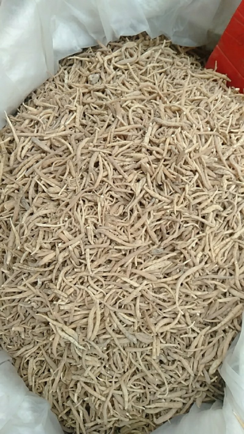 贵州太子参