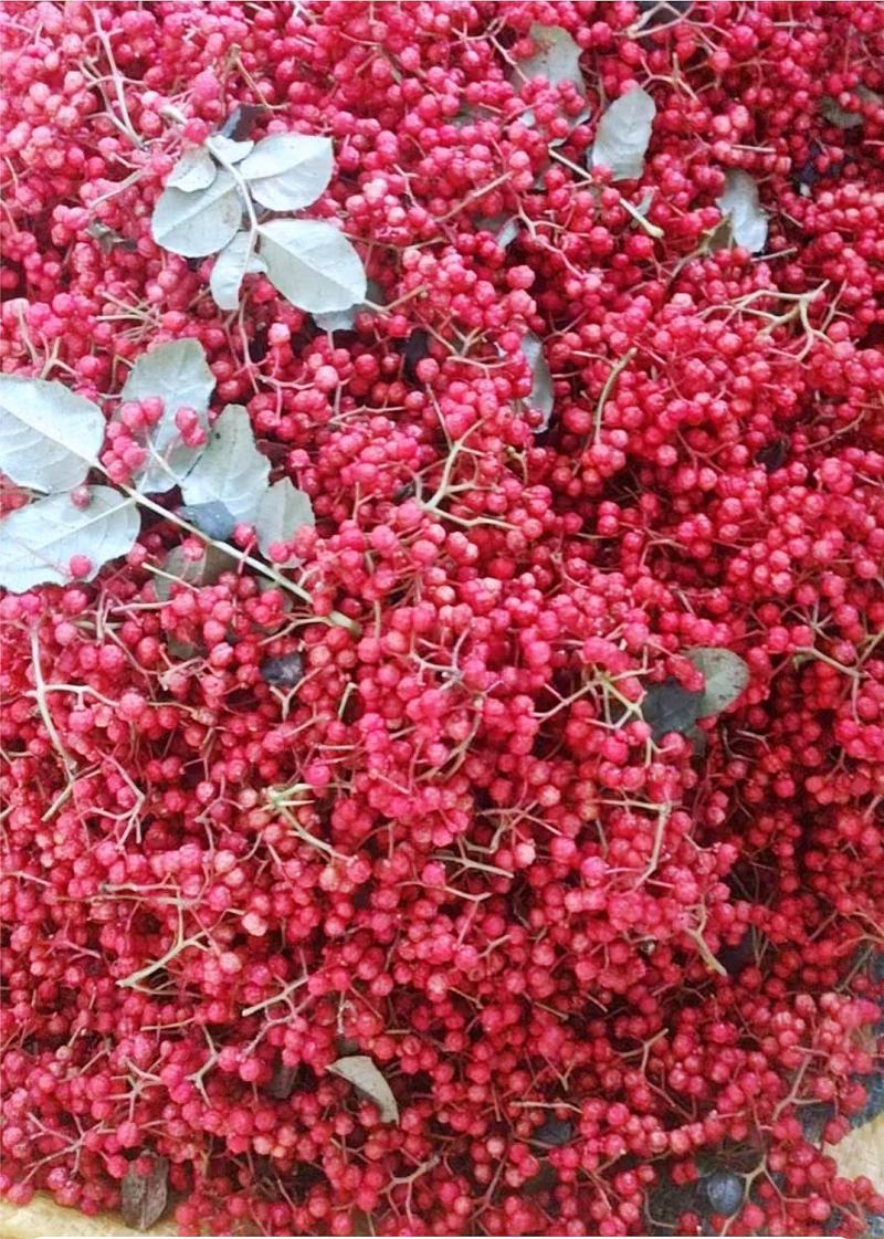 优质花椒，大红袍花椒，货源充足